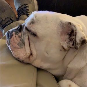 Meet your Posher, Tom